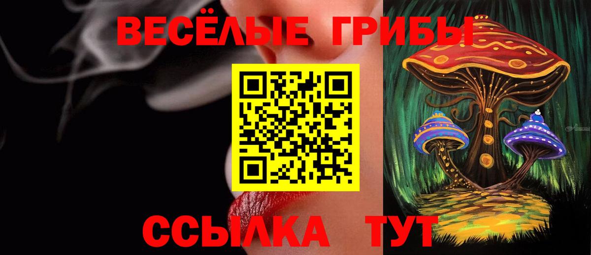 Сосновый Бор  Галлюциногенные грибы Magic Shrooms  Вход с VPN 
