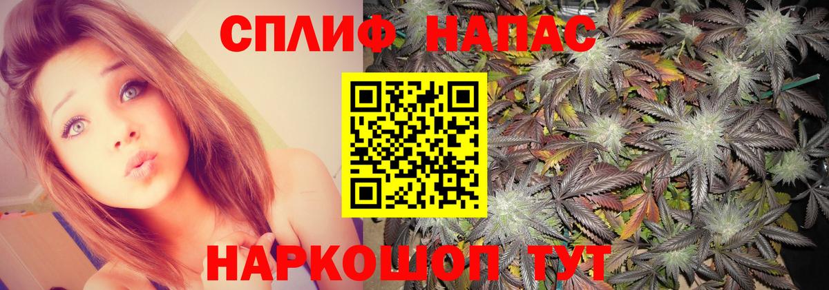Бошки марихуана Bruce Banner  Вход с VPN  Конопля индика  Канабис индика  Сосновый Бор 